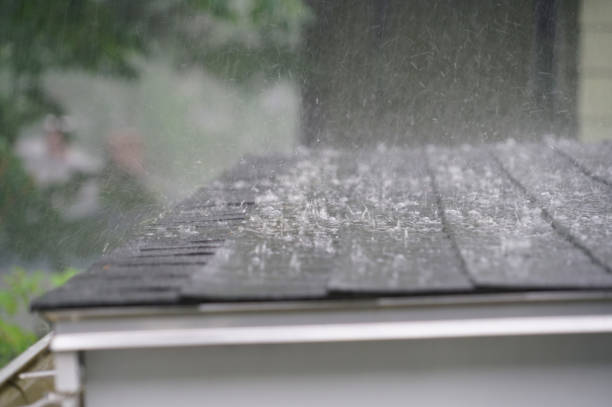 Best Asphalt Shingle Roofing  in Kent, OH